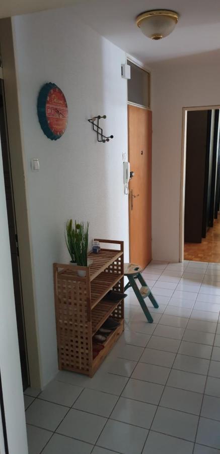 Apartment Gulek Zreče Exteriér fotografie